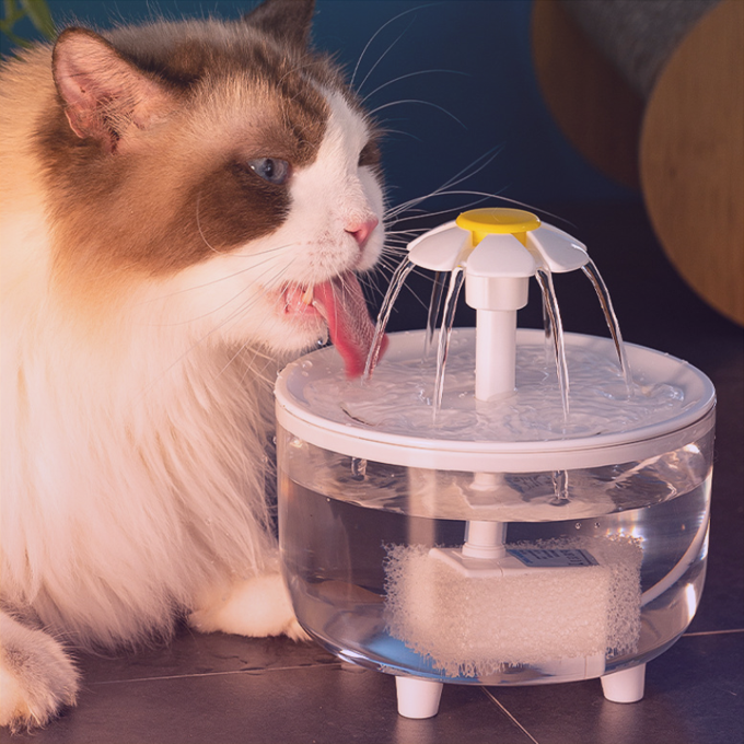 중국구매대행 추천 플라워 펫 워터 분수