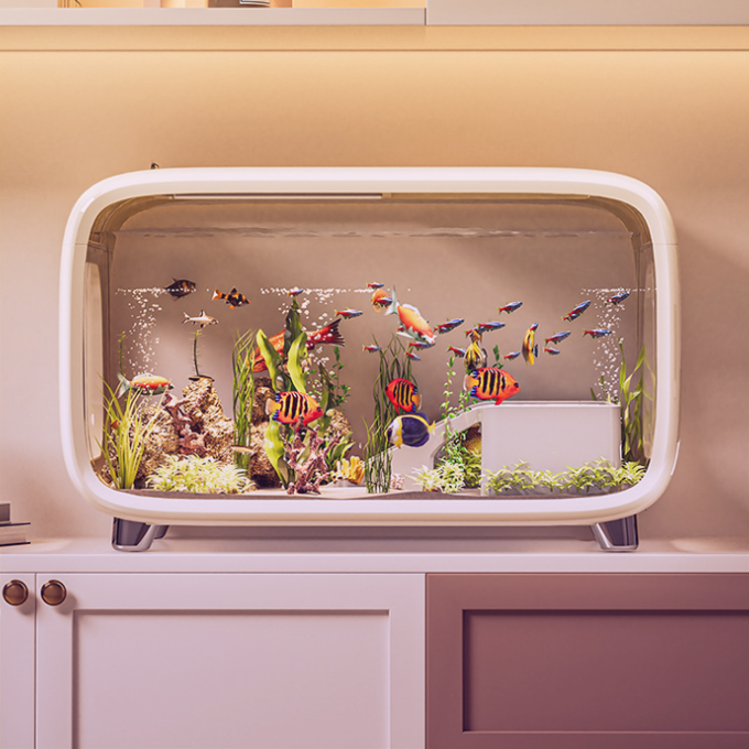 중국구매대행 추천 물고기 수조