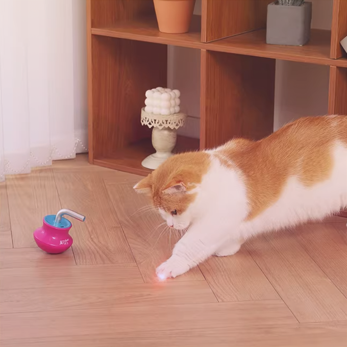 중국구매대행 추천 레이저 고양이 장난감